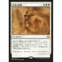 アブザン＜ワンショット型＞　でPTTQ参加