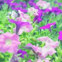 (*´∀｀*)