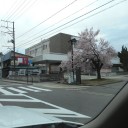 お城周辺の
