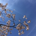 入園式