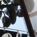 鯉のぼりと名前旗上げました！