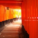 京都＊伏見