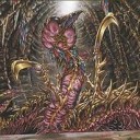 [Mtg]　