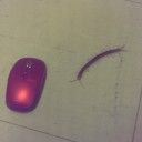 カネキ君が耳に入れられたヤツ！！