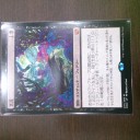 PPTQ の成れの果て3