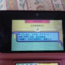 エンテイの厳選が終わった