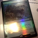 タルモゴイフ　日　Foil