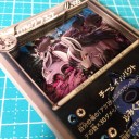 グラエナとザングース