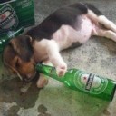【MOスタン暇つぶし録w】　“昼夜逆転して夜中にMO８構、3-0出来ました～♪♪(´ﾟωﾟ｀)(白目)w”　の巻