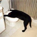 【MOスタン暇つぶし録w】　“昼夜逆転して夜中にMO８構、3-0出来ました～♪♪(´ﾟωﾟ｀)(白目)w”　の巻