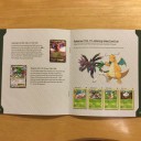 PTCGO  RoaringSkiesのカードリスト