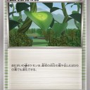【デッキレシピ】巨大植物の森ダｰテング先攻1キルデッキ【机上論】
