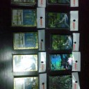 ポケモンカードゲーム大会inぐる倉菊陽店さん