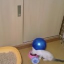 6月15日の日記