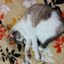 6月15日の日記