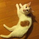 ごーすととりっくのねこむすめ
