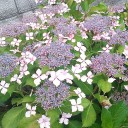 ちょっと頑張った!