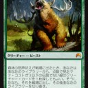 NicFitに森林の怒声吠え