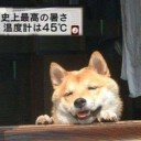 7月13日の日記