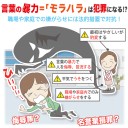 7月15日の日記