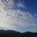 とんび歳時記ーはや夏雲かな