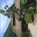 そば