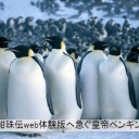 東方紺珠伝のネット体験版うｐ来たあああああああああぁぁぁぁぁぁぁぁ・・・・・ぁぁ・・・・・ぁぁぁ・・・・・・？？