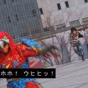 予定