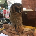 つかしんの「アミーゴ」