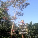 とんび歳時記ー旭川湖畔のいろどり３
