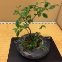 有馬温泉２日目