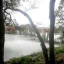 とんび歳時記ー旭川下流のいろどり１