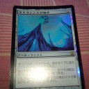 今月のお買い物