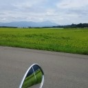 予定通り