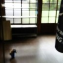昨日日曜は