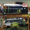 有馬温泉では素泊まりはできない？
