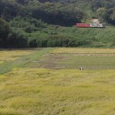 作業、そして栃木小旅行その１