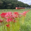 作業、そして栃木小旅行その１