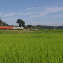 作業、そして栃木小旅行その１