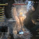 ドラゴンズドグマ オンライン その16