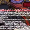 【三国志大戦TCG】14弾U羊祜、R于禁、PT夏侯淵