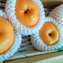 デッキ作ったよ！(スタン)