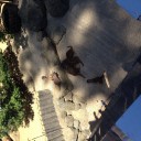ミーアキャット