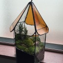 コケリウム第２弾作成
