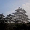 とんび歳時記ー白鷺城１