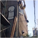 都会のカピバラさん