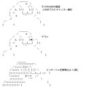 橙や