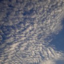 とんび歳時記ー百閒川のいろどり１０
