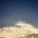 とんび歳時記ー百閒川のいろどり１０