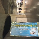 【御礼560,000hit!】大会と戦績の話。【バトルフェスタ横浜レポ1】